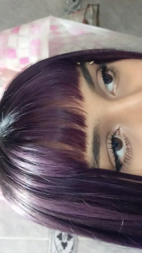 Color For Black Hair, Streaks Hair, Color Trends 2024, 2024 Hair Color, Highlight Ideas, Dark Purple Hair, Plum Hair, Color Streaks, Hair Inspiration Long