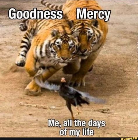 Found on iFunny Goodness And Mercy, Psalm 23 6, Surely Goodness And Mercy, Mercy Me, Funny Comic Strips, Christian Memes, Psalm 23, A Day In Life, Day Of My Life