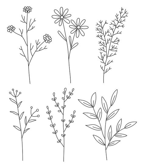 Field plants line vector, line flowers vector set, plants collection, minimalist line design Line Flowers, Pencil Drawings For Beginners, Sashiko Pattern, Flower Henna, Line Vector, Flower Drawing Design, Flowers Vector, Vector Line, Embroidery Template