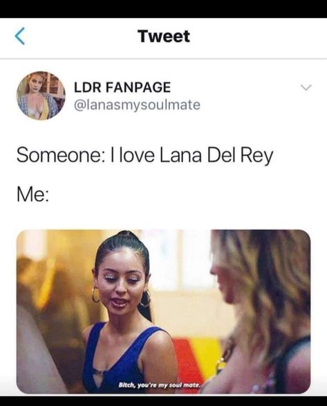 Love Lana Del Rey, Lana Del Rey Memes, Lana Del Rey Love, Memes Hilarious, Lana Del Ray, Mountain Dew, Whisper Quotes, Just Girly Things, Animal Memes