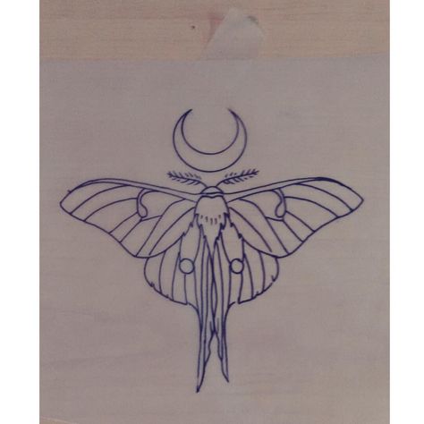 #luna #moth #drawing #by #Laura #Carney #tattoo #design #wow! at #Kiss of… Luna Moth Drawing, Lunar Moth Tattoo, Luna Moth Tattoo, Moth Drawing, Moth Tattoo Design, Stencil Outline, Petit Tattoo, Lunar Moth, Stick N Poke