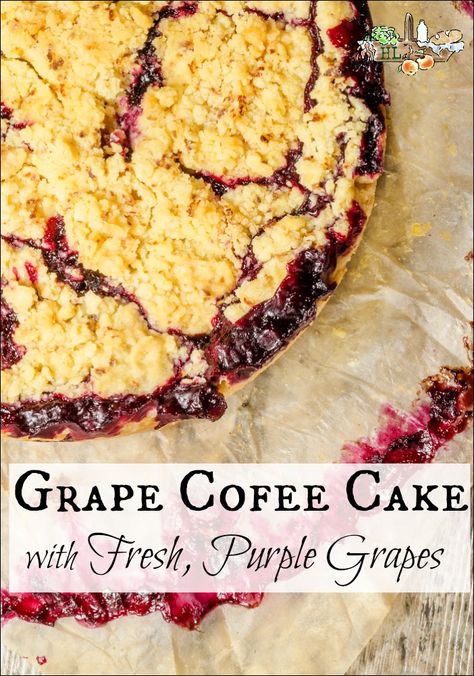 Concord Grape Kuchen, Grapes Dessert Recipes, Concord Grape Muffin Recipes, Blue Grapes Recipe, Grape Cobbler Recipe, Concorde Grape Recipes, What To Do With Homegrown Grapes, Recipes With Concord Grapes, Desserts Using Grapes