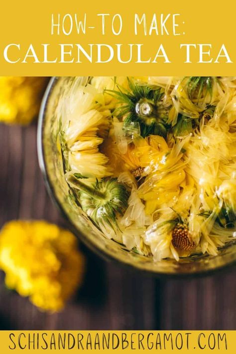 Learn all about making Calendula tea with dried or fresh calendula flowers, hot or iced, including a sun tea method. These gentle blossoms are soothing and packed with healing properties. | How to make calendula tea | Iced Calendula Tea | Calendula Sun Tea Calendula Recipes, Herbal Tea Recipes Diy, Amazing Easy Recipes, Calendula Tea, Herbal Drink, Calendula Flowers, Diy Tea, Tea Time Food, Sun Tea