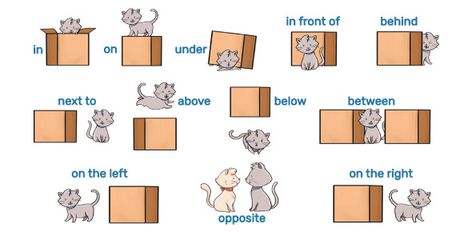 Preposition Of Place Worksheet, Preposition Of Place, Preposition Worksheets, English Girl, English Exercises, Esl Resources, English Games, Star Students, English Teaching