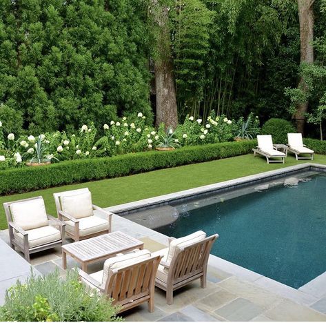 Small Private Garden, Carex Comans, Evening Cocktails, Pool Deck Ideas, Family Backyard, Pool Landscape Design, Ellen Pompeo, Backyard Pool Landscaping, Vacation House