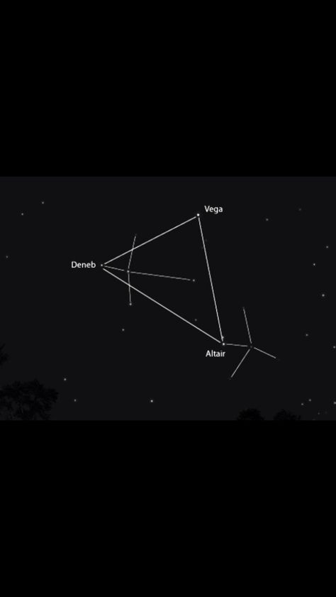 Vega and Altair is a love story about 2 lovers that were separated by a river(the milky way).However, once a year on the seventh day of the seventh month, Deneb would create a bridge that allows the two to meet in the middle and be together. Cosmic Feelings, 2 Lovers, Alphabet Code, Just Give Up, The Milky Way, A Love Story, Stay Happy, A Bridge, Tattoo Inspo