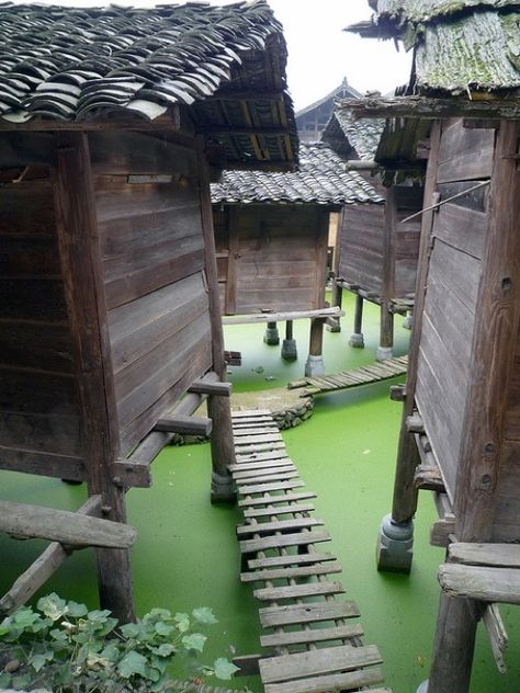 Water Village, Roof Tops, Chongqing, China Travel, Mongolia, Oh The Places Youll Go, Macau, Scuba Diving, Tibet