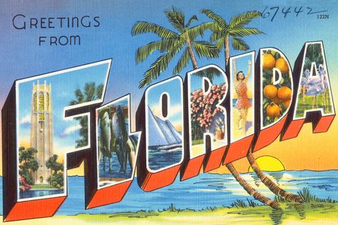 How Florida Got Its Name Florida Poster, Florida History, Vintage Postcards Travel, Downtown Orlando, Collections Photography, Boston Public Library, Travel Postcard, Vintage Florida, Large Letters