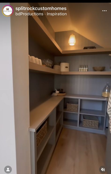 Split Level Under Stairs Storage, Understair Closet Storage, Understairs Larder Cupboard, Pantries Under The Stairs, Butlers Pantry Under Staircase, Small Under Stairs Storage Solutions, Under Staircase Closet, Pantry Design Under Stairs, Under Stairs Larder