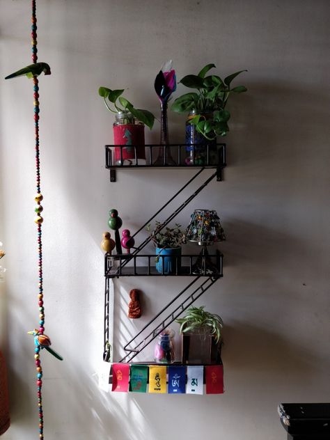 Fire Escape Shelves, Fire Escape Shelf, Pothos In Water, Fire Escape, My Space, Flower Ideas, My Design, In Water, Room Inspo