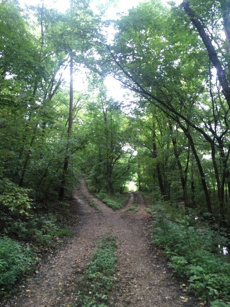 Fork In The Road, Face The Music, Mountain Biker, Take A Walk, Green Garden, Hard To Get, Simple Pleasures, Visual Design, Forks