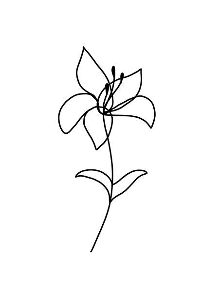 Minimalist Lily by lilyconstantino | Redbubble Minimalist Lily Tattoo Design, Minimalist Tattoo Lily Flower, Small Tattoos Lily Flower, Minimalistic Lily Tattoo, Lily Flower Doodle, Lily Flower Tattoos Minimalist, Lily Flower Outline Tattoo, Lily Doodle Simple, Simple Lily Tattoo Outline