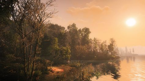 The Witcher 3 - Velen The Witcher 3 Aesthetic, Witcher 3 Landscape, Witcher 3 Aesthetic, Witcher Landscape, Witcher Scenery, Witcher Aesthetic, Bardic Inspiration, Art Igcse, Room Concept