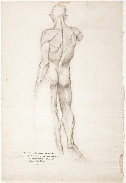 (Standing male nude from behind), (circa 1957) by Brett Whiteley :: The Collection :: Art Gallery NSW Brett Whiteley, Male Body Drawing, Back Drawing, Male Torso, Standing Poses, Figure Poses, Man Standing, Guy Drawing, Male Figure