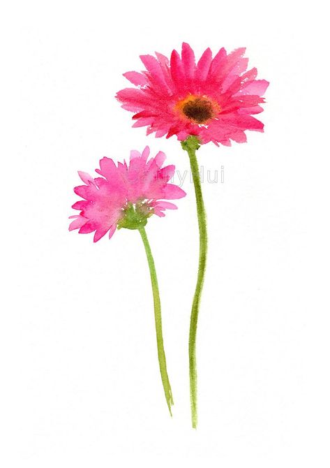 "This set of 2 gerbera watercolor painting prints are from my original watercolor paintings. Please choose the sizes from the drop menu. There are standard inches sizes and A-sizes also. Custom sizes are available too, please contact me for a quotation. Each print is giclee print with Epson Ultra Chrome pigment inks on archival acid- and lignin-free Fine Art Paper, which gives the vibrant colors and meets the most exacting requirements for age resistance. The print looks very much like an origin Watercolour Window, Pink Flower Illustration, Painting Cds, Watercolor Projects, Blossoms Art, Painting Flower, Watercolor Flower Art, Watercolor Painting Techniques, Printable Art Prints