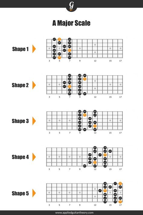 A Major Scale positions on guitar Minor Scale Guitar, Pentatonic Scale Guitar, Guitar Reference, Guitar Scales Charts, Guitar Chords And Scales, Diatonic Scale, Guitar Chord Progressions, Guitar Theory, Minor Scale