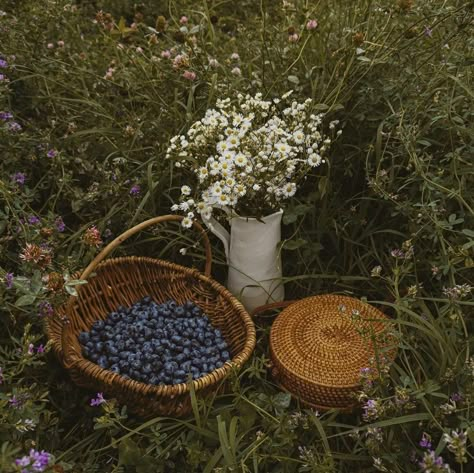 Blueberry Girl, Lovecore Aesthetic, Cottage Aesthetic, Cottage Farm, Cosmic Horror, Cottagecore Aesthetic, Spring Vibes, + Core + Aesthetic, Blue Berry Muffins