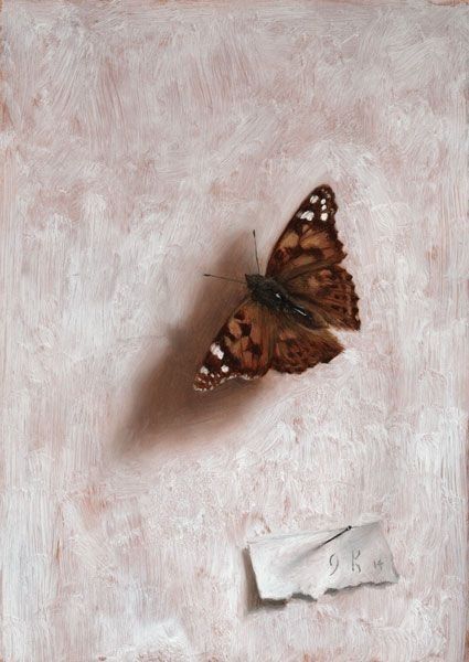 Animal Still Life, Life Of A Butterfly, Butterfly Paintings, Painting Butterfly, Oil Painting Inspiration, Expressionist Art, Still Life Paintings, Butterfly Painting, Still Life Art