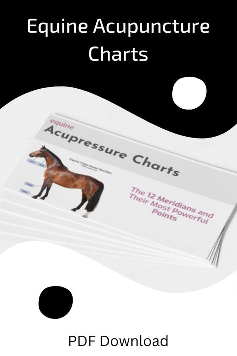 Equine Acupuncture Charts and the most important acupuncture points. Download your equine charts PDF today. #equine #horse #acupressure #acupuncture Acupressure Chart, Equine Massage Therapy, Acupuncture Charts, Equine Acupressure, Horse Massage, Equine Massage, Horse And Human, Horse Anatomy, Acupuncture Points