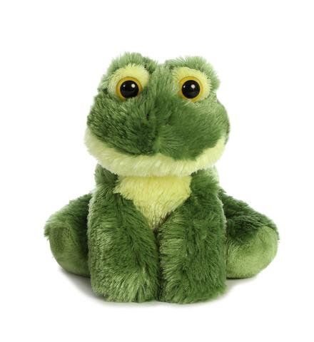 Frog Stuffed Animal, Teddy Collections, Frog And Toad, Cute Stuffed Animals, Chewbacca, Cute Frogs, Plush Animals, Amazon Finds, Soft Toy