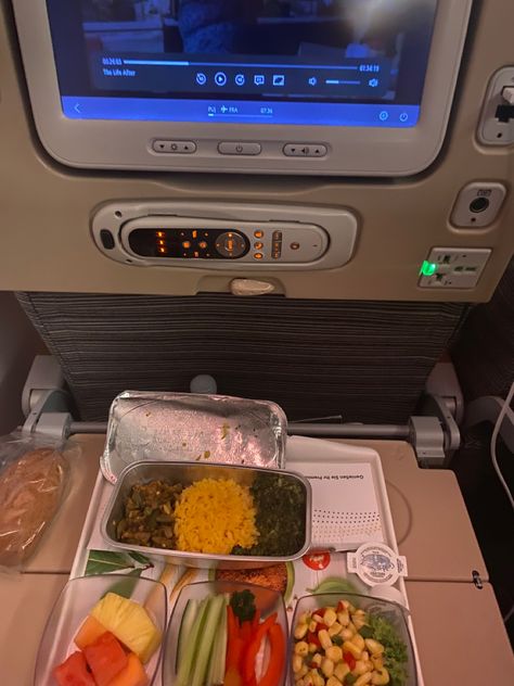 Food In Airplane, Airplane Food, Traveling Aesthetic, Plane Food, Airport Aesthetic, Aesthetic Backpack, Night Flight, Girl Dinner, Commercial Aircraft