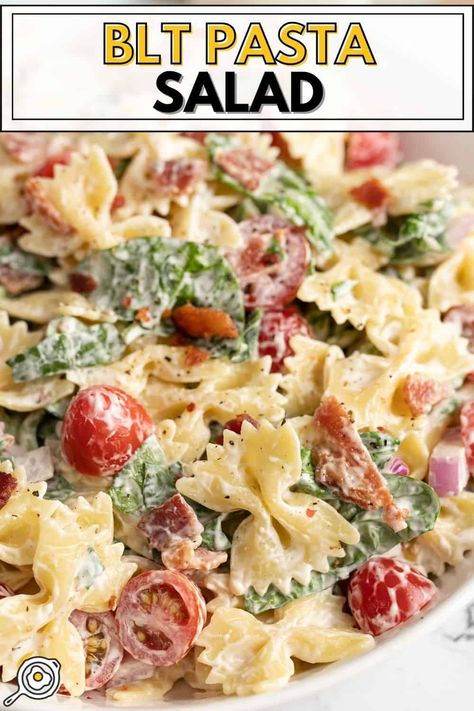 This BLT pasta salad recipe is the perfect summer meal! It's easy to make, full of flavor, and perfect for a potluck or picnic. Summer Pasta Salad Recipes Cold, Easy Cold Pasta Salad, Blt Pasta Salad Recipe, Blt Salad Recipe, Cold Pasta Dishes, Blt Pasta Salad, Cold Salad Recipes, Blt Pasta, Blt Salad