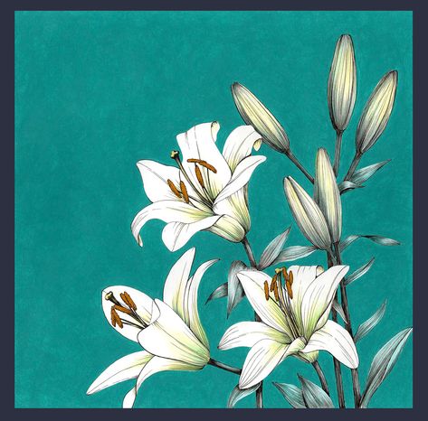 Emerald Bouquet, Lilly Flower Drawing, Emerald Background, Lilly Plants, Realistic Flower Drawing, Realism Illustration, Gouache Flowers, Lilies Drawing, Flowers Lily