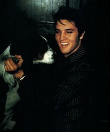 Elvis at rehearsals for the Steve Allen Show, July 1956; with the hound dog. Elvis Dog, Steve Allen, Elvis Presley Images, Young Elvis, Uss Arizona, Elvis Presley Pictures, Elvis And Priscilla, Elvis Presley Photos, Priscilla Presley