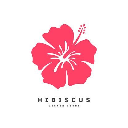 Hibisco Flores Rojo - Gráficos vectoriales gratis en Pixabay Hibiscus Flower Logo, Hibiscus Icon, Jamaica Flower, Hibiscus Illustration, Lotus Flower Logo Design, Florist Business Card, Hibiscus Art, Lotus Flower Logo, Star Doodle