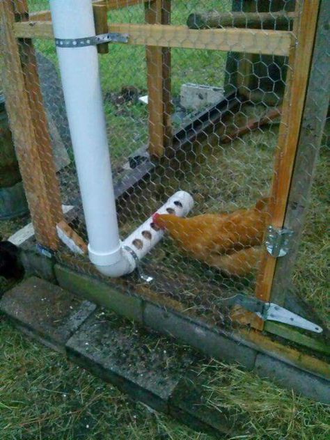 Pvc Pipe Chicken Feeder, Reban Ayam, Chicken Tunnels, Chicken Feeder Diy, Living Off The Grid, Backyard Chicken Coop Plans, Chicken Coup, Diy Chicken Coop Plans, Chicken Feeders