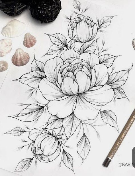 Most current Snap Shots Peonies drawing Ideas The peony is usually outrageously wonderful in bloom via springtime for you to summer—with abundant plants #current #drawing #Ideas #Peonies #Shots #Snap Peony Tattoo, A Drawing, Flower Tattoo, Magnolia, Black And White, Flowers, White, Black