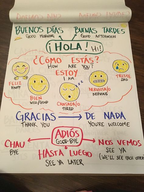 Preschool Spanish Lessons, Spanish Teacher Classroom, Dual Language Spanish, Beginner Spanish Lessons, Spanish Classroom Decor, Spanish Learning Activities, Preschool Spanish, Spanish Classroom Activities, Learning Spanish For Kids