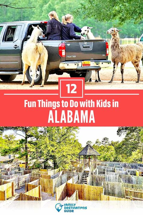 12 Fun Things to Do in Alabama with Kids — Best Family Friendly Attractions! Things To Do In Alabama, Dolly Wood, Mentone Alabama, Foley Alabama, Alabama Vacation, Tuscaloosa Alabama, Alabama Travel, Usa Pride, Huntsville Alabama