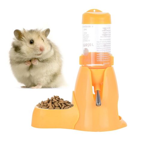 Hamster Water Bottle, Pet Hedgehog, Homemade Dog Toys, Dog Grooming Scissors, Hamster Food, Spoiled Pets, Dog Grooming Shop, Hamster Treats, Grain Free Dog Food