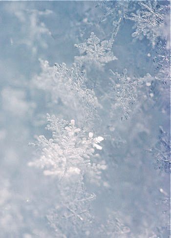 Romeo I Julia, Ice Aesthetic, Holiday Iphone Wallpaper, The Ancient Magus Bride, Christmas Aesthetic Wallpaper, Light Blue Aesthetic, Winter Nature, Snow Flakes, Ice Crystals