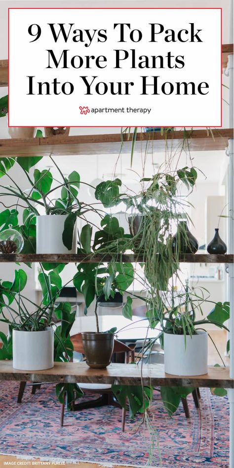 Indoor Plants Styling Small Spaces, Plants Bedroom Wall, Home Plant Organization, Plants Storage Ideas, Apartment Plant Organization, Big Plants Small Apartment, Indoor Plants Shelves, Plant Decor Small Apartment, How To Fit More Plants In A Room