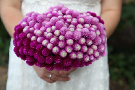 Gomphrena overload!!! #bouquet Purple Monochromatic, Full Bouquet, Bridal Bouquet Summer, Bridal Bouquet Spring, Spring Wedding Bouquets, Winter Wedding Bouquet, Summer Wedding Bouquets, Blush Bouquet, Bonsai Flower