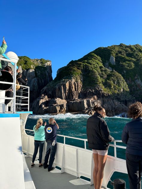 whale cruise, australia, nelson’s bay, boating, aesthetic, coastal grandma, ocean life, aesthetic boat Marie Biology, Australia Cruise, Nelson Bay, Dream Career, Nsw Australia, Marine Biology, Biology, Career, Australia