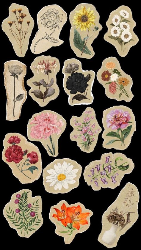 Vintage Cutouts, Vintage Aesthetic Stickers, Vintage Aesthetic Stickers Printables, Process Book, Funny Laptop Stickers, Diy Photo Book, Old Paper Background, Bullet Journal Ideas Templates, Flower Collage