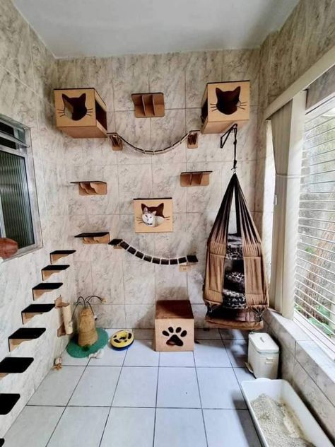 Indoor Cattery Ideas, Ideas For Cat Rooms, Cat Rooms Indoor Ideas, Cattery Ideas Cat Room, Cat Room Diy, Cat Room Decor, Cat Climbing Shelves, Cat Area, Cat Bedroom