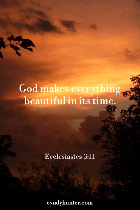 Read the blog: Getting Things Wrong. God is good. I'll get things wrong. I'll sin and fall short of the glory of God. But God is faithful. Even when I fall, God makes all things beautiful in His time. #Godisgood #Christianliving #walkbyfaith #scripture #Jesus #salvation God Makes All Things Beautiful In His Time, Faith In God Quotes, I Will Rise, In His Time, Hope In God, True Love Quotes, Christian Fiction, Autumn Quotes, Keep The Faith