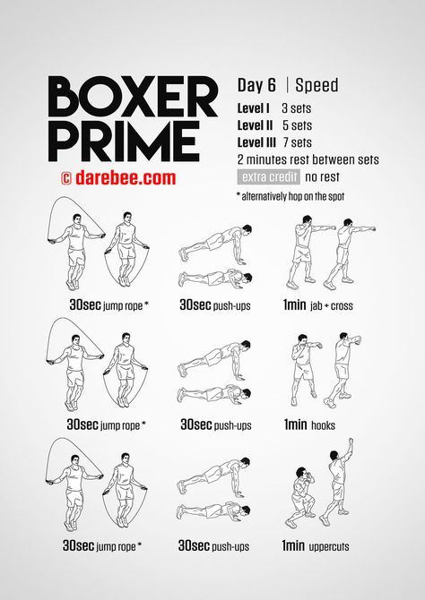 Boxer Prime: 30-Day Fitness Program Boxer Prime, Boxing Challenge, Box Workout, Punching Bag Workout, Best Abs Workout, Boxer Workout, Boxing Workout Routine, Home Boxing Workout, Boxing Workouts