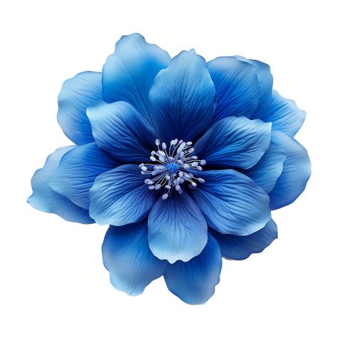 Blue Flower Png, Flowers Icon, China Flowers, Flower Icon, Flower Icons, String Art, Blue Flower, Flower Tattoos, Free Png