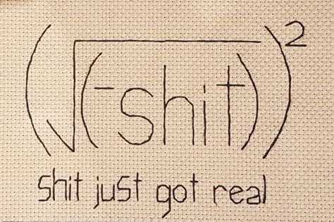 Embroidery on aida cloth. Shit just got real. Subversive math. Math Embroidery, Funny Hacks, Embroidered Things, Funny Tips, Wood Transfer, Cross Stitch Boards, Aida Cloth, Math Humor, Diy Embroidery