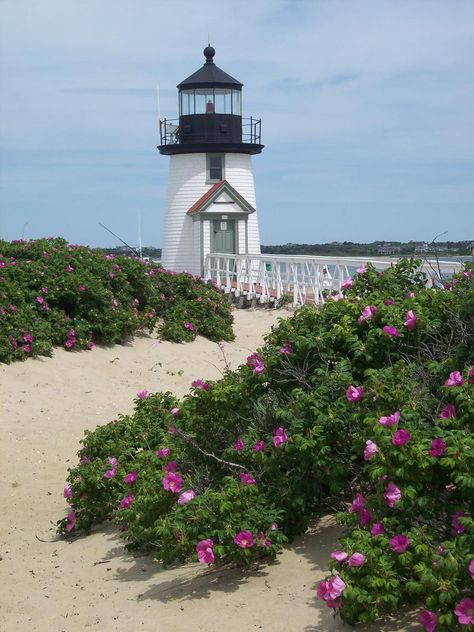 Brant Point Lighthouse, Thought Pictures, Lighthouse Pictures, Nantucket Island, Beautiful Lighthouse, Marthas Vineyard, Light House, Nantucket, 그림 그리기