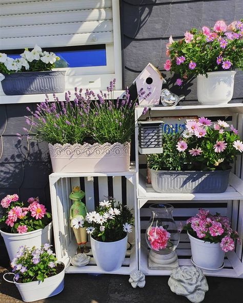 Diy Balcony Decor Ideas, Diy For Garden, Wooden Crate Ideas, Wooden Crates Garden, Balcony Garden Diy, Flowers Balcony, Crate Decor, Diy Wooden Crate, Spring Porch Decor