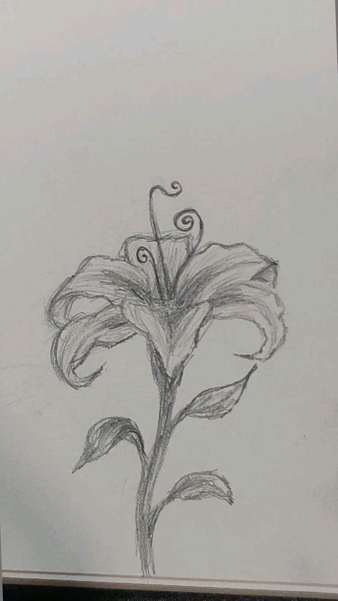 Landscape Art Pencil Sketch, Flowers Sketch Easy, Pretty Sketches Aesthetic, Aphrodite Drawing Sketch, East Sketches, Drawing Sketches Flowers, Sketchbook Ideas Flowers, Flower Pencil Sketches, Flower Sketches Easy