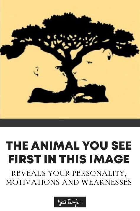 Optical Illusion Personality Test Reveals Your Hidden Personality Traits | YourTango #personality Illusion Test, Illusions Mind, Personality Type Quiz, Optical Illusions Pictures, Community Service Ideas, Medical Words, Brain Test, Illusion Pictures, Hidden Images