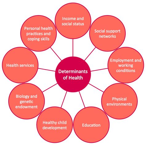 Social Determinants of Health Health Belief Model, Teaching Sociology, Online Computer Courses, Communicable Diseases, Family Health History, Health And Social Care, Exercise Science, Circle Diagram, Healthy Eating Diets