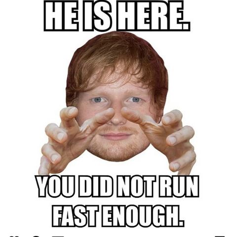 Ed Shiran, Ed Sheeran Memes, Ed Sheeran Facts, Run Fast, Goofy Pictures, Funny Profile, Very Funny Pictures, Funny Profile Pictures, Real Funny Jokes